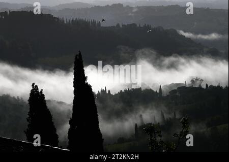 Morgennebel rund um San Gimignano, Toskana, Italien *** Morgennebel rund um San Gimignano, Toskana, Italien Stockfoto