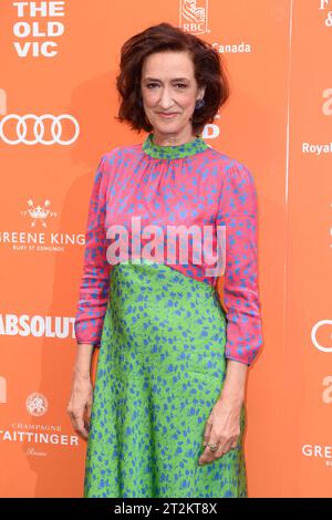 Aktenfoto vom 23./06/19 von Haydn Gwynne, die an der Old Vic Midsummer Party in der Londoner Brauerei teilnahm, als Schauspielerin, die für ihre Rollen in Drop the Dead Donkey and the Windsors bekannt war, starb im Alter von 66 Jahren. Ausgabedatum: Freitag, 20. Oktober 2023. Stockfoto