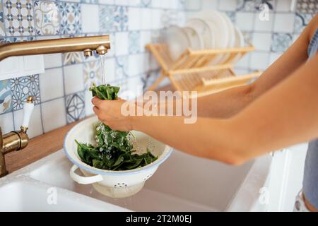 Nahaufnahme von weiblichen Händen, die frischen Spinat waschen. Eine junge Frau in einer modernen, gemütlichen Küche wäscht grüne Blätter im Waschbecken. Reinigen Sie die Platten im Hintergrund Stockfoto