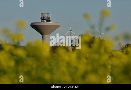 Wasserturm, Windkraftanlage, Senffelde (Sinapis arvensis), Rosengarten, Schwäbische Halle, Hohenlohe, Heilbronn-Franken, Baden-Württemberg, Deutschland Stockfoto