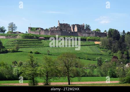 Ruine Hochburg, 11. Jahrhundert, größte Burganlage im Oberrheintal, Emmendingen, Baden-Württemberg, Deutschland Stockfoto