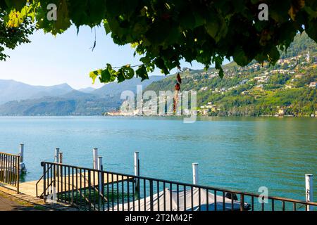 See- und Bergblick mit Baumzweig über Morcote an einem sonnigen Sommertag am Luganersee in Morcote, Tessin, Schweiz Stockfoto