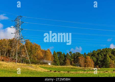 Elektrizitätspylon auf landwirtschaftlichen Flächen in einem sehr ländlichen Gebiet von Kinloch Rannoch in den schottischen Highlands errichtet und Strom für die Bewohner und Bewohner liefert Stockfoto