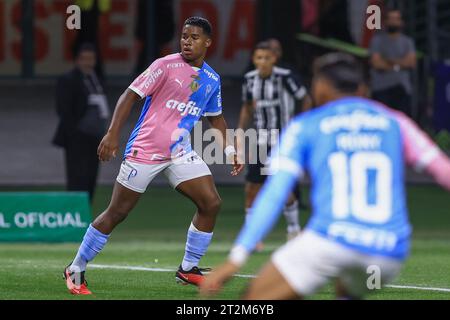 Sao Paulo, Brasilien. Oktober 2023. SP - SAO PAULO - 10/19/2023 - BRAZILIAN A 2023, PALMEIRAS (Foto: Marcello Zambrana/AGIF/SIPA USA) Credit: SIPA USA/Alamy Live News Stockfoto