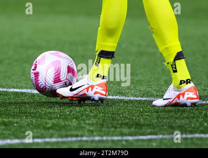 Sao Paulo, Brasilien. Oktober 2023. SP - SAO PAULO - 10/19/2023 - BRAZILIAN A 2023, PALMEIRAS (Foto: Marcello Zambrana/AGIF/SIPA USA) Credit: SIPA USA/Alamy Live News Stockfoto