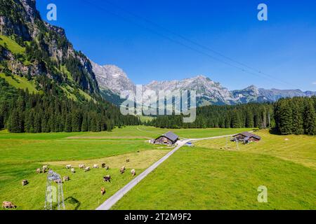 Blick auf den Bauernhof und die Felder oberhalb des Dorfes Engelberg, Zentralschweiz, von der Titlis XPress Gondelbahn zum Titlis Stockfoto