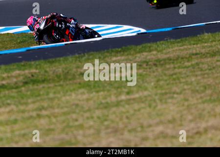 Ventor, Australien. 20. Oktober 2023; Phillip Island Grand Prix Circuit, Ventnor, Victoria, Australien; 2023 MotoGP Guru von Gryfyn Australian Motorcycle Grand Prix, Übungstag; Nummer 41 Aprilia Racing Fahrer Aleix Espargaro während Training 1 beim Australian MotoGP Credit: Action Plus Sports Images/Alamy Live News Stockfoto