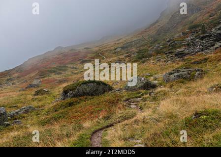 Der Wanderweg von Obergurgl zur Ramolhaus Hütte durch Grashänge geht in den Wolken verloren, Gurgler Tal, Ötztaler Alpen, Tirol, Österreich Stockfoto