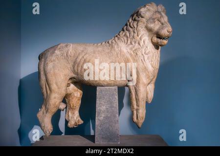 Eine Löwenstatue aus dem Mausoleum von Halikarnassus (ca. 350 v. Chr.), im British Museum, London, Großbritannien Stockfoto