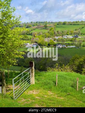 Higher, Middle und Lower Brown Farms nahe Clatworthy in den Brendon Hills, Somerset, England. Stockfoto