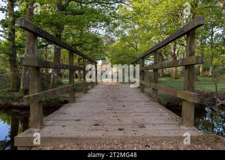 Eine hölzerne Brücke über einen kleinen Fluss, Ober Water, in der Nähe der Puttles Bridge im New Forest Hampshire UK. Ein Waldweg führt bergauf in die Ferne. Stockfoto