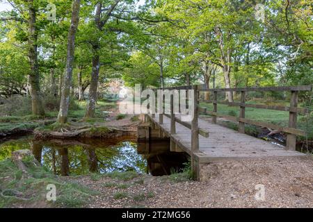 Eine hölzerne Brücke über einen kleinen Fluss, Ober Water, in der Nähe der Puttles Bridge im New Forest Hampshire UK. Ein Waldweg führt bergauf in die Ferne. Stockfoto