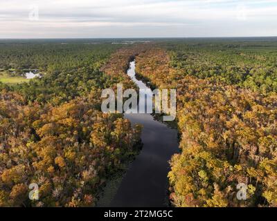 Ein Blick aus der Vogelperspektive auf den Trout Creek in St. Johns County, Florida Stockfoto