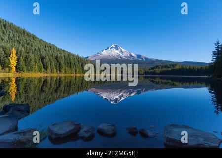 Wunderschöne und friedliche Landschaft des Mt Hood, der sich an einem ruhigen und idyllischen Herbstmorgen über dem Trillium Lake spiegelt Stockfoto