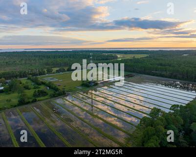 Eine Luftaufnahme eines Zellenturms und einer Farm in Nordflorida in der Abenddämmerung Stockfoto