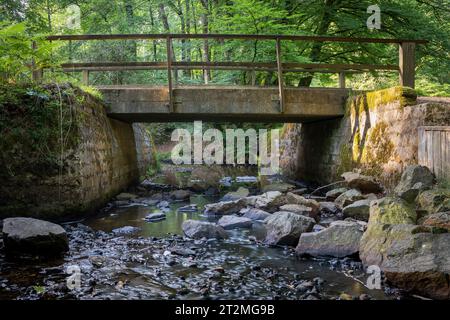 Eine kleine Brücke über einen Fluss im New Forest, Hampshire, Großbritannien. Die Ziegelwände sind mit sanftem Licht am frühen Morgen beleuchtet. Langsame Bewegung, seichtes Wasser fließt Stockfoto