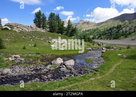 Berglandschaft mit Bach, der in den Allos-See fließt, im Nationalpark Mercantour Alpes-de-Haute-Provence Französische Alpen Frankreich Stockfoto