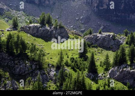 Baumlinie, Baumlinie, Almweide, Hochweiden und Geröllhänge oberhalb des Allos-Sees im Nationalpark Mercantour Alpes-de-Haute-Provence Frankreich Stockfoto