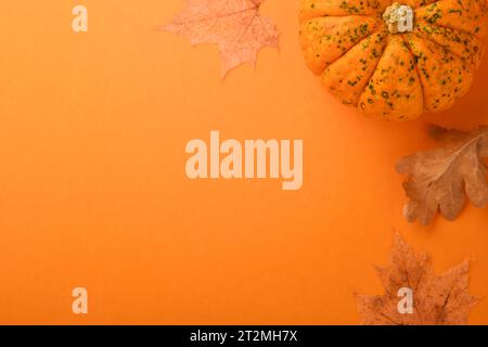 Festliche Herbstdekoration aus Kürbissen und trockenen Eichenblättern auf orangefarbenem Hintergrund. Halloween- oder Thanksgiving-Postkartendesign. Flach liegend Herbstkomposition mit Stockfoto