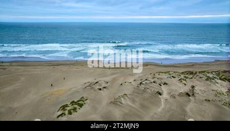 Wide aerial of sandy beach with mossy dunes and blue ocean waves washing ashore Stockfoto
