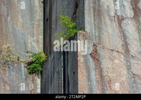 Verlassener Steinbruch aus rotem Marmor Carrière de Beauchâteau bei Senzeilles, Cerfontaine, Provinz Namur, belgische Ardennen, Wallonien, Belgien Stockfoto