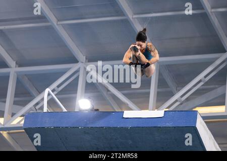 Santiago, Chile. Oktober 2023. Tauchen im Centro Aquatico in Santiago, SC. Quelle: Bruno Ruas/FotoArena/Alamy Live News Stockfoto