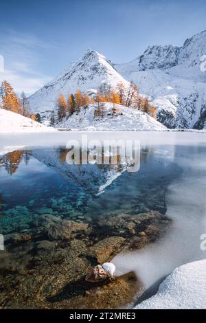 Blick auf die herbstliche Landschaft des Lac Bleu in Arolla, umgeben von schneebedeckten Bergen und goldenen Lärchen, die sich im Wasser spiegeln Stockfoto