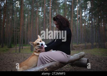 Eine schwangere Frau sitzt auf einem Baumstamm im Wald und spielt mit ihrem Corgi-Hund. Stockfoto