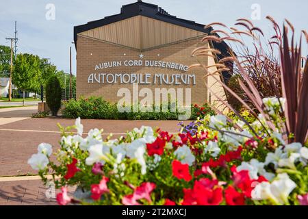 ACD-Museumsschild vor roten und weißen Blumen im Topf Stockfoto
