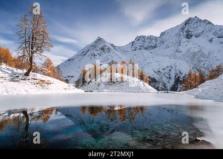 Herbstlicher Blick auf den Lac Bleu in Arolla mit goldenen Lärchen und schneebedeckten Bergen, die sich im See spiegeln Stockfoto