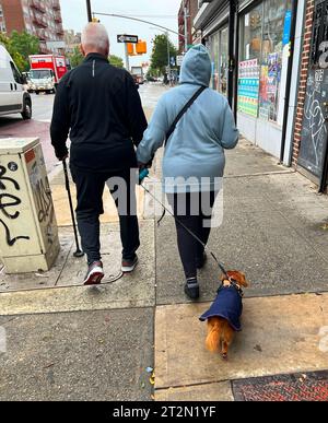 Seniorenpaar, die mit ihrem Hund entlang der Church Avenue in Brooklyn, New York spazieren gehen. Stockfoto