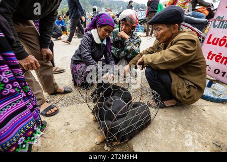 Welpen zum Verkauf auf dem Farmers Bac Ha Farmers Market in Nordvietnam Stockfoto