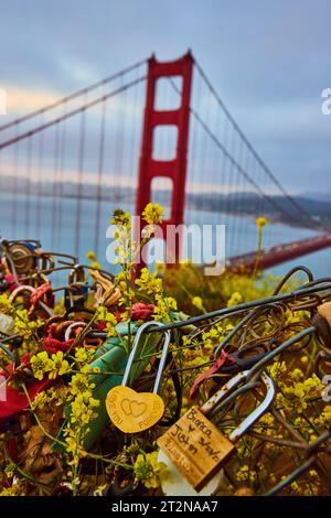 Love you ewig Love on Zaun mit gelben Blumen und verschwommenem Golden Gate  Stockfoto