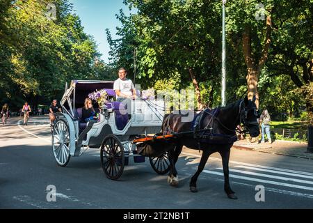 Die Leute machen eine Kutschfahrt im Central Park, New York City. Stockfoto