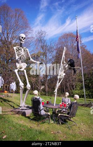 Raffinierte Halloween-Dekoration mit 4 Skeletten, die Getränke an einem Tisch haben und 2 riesige, die sich ansehen. In Holmes, New York. Stockfoto