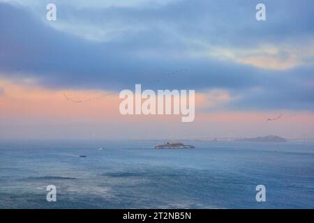 Vogelschwärme fliegen über die San Francisco Bay bei Sonnenuntergang mit Alcatraz Island Stockfoto
