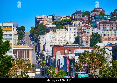 Straße durchschneidet Reihen von Unternehmen und Wohnhäusern am klaren blauen Himmel in CA. Stockfoto