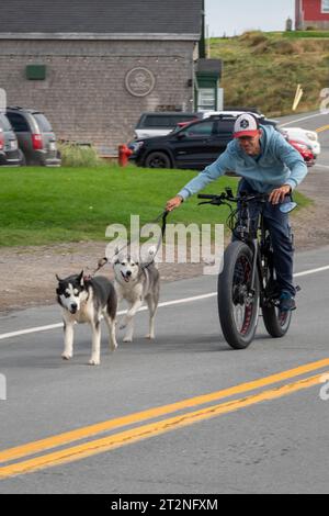 Husky-Ausbildung in Lark auf der Iles de la Madeleine, Québec. Stockfoto