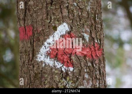 Orientierungsschilder auf Bergpfaden 3 Stockfoto