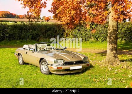 Cabriolet Jaguar XJS mit Top-Down im Herbst auf einem Landfeld Stockfoto