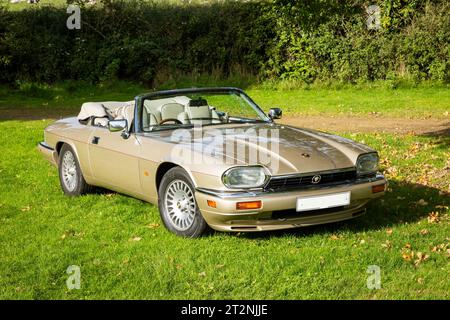 Cabriolet Jaguar XJS mit Top-Down im Herbst auf einem Landfeld Stockfoto