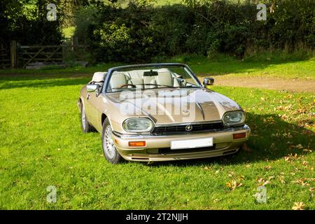 Cabriolet Jaguar XJS mit Top-Down im Herbst auf einem Landfeld Stockfoto