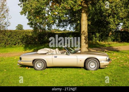 Cabriolet Jaguar XJS mit Top-Down im Herbst auf einem Landfeld Stockfoto