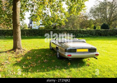 Rückansicht eines Jaguar XJS Cabriolets mit Top-Down-Funktion auf einem Landfeld im Herbst Stockfoto