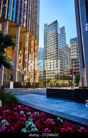 Verschiedene Blumen entlang des eleganten Bürgersteigs mit großen, wunderschönen Wolkenkratzern, die aus San Francisco ragen Stockfoto