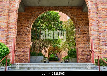 Stufen führen hinauf zum Bürgersteig, vorbei an mehreren Bögen, die von grünen Bäumen gesäumt sind Stockfoto