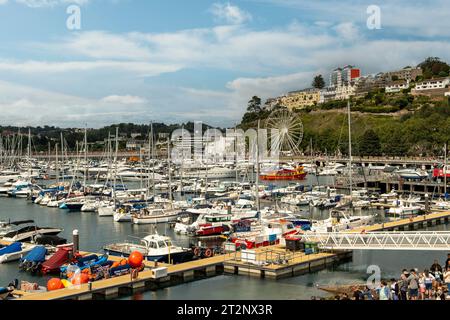 Die Marina in Torquay, Devon, England Stockfoto