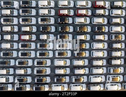 Nagelneue Autos stehen am Hafen. Stockfoto