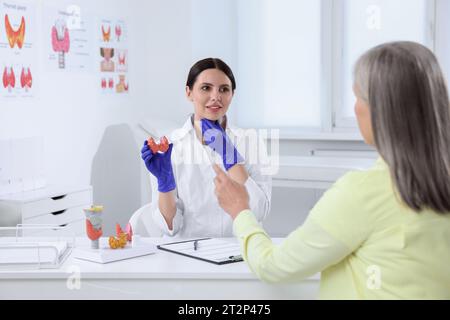 Endokrinologe zeigt Schilddrüsenmodell dem Patienten am Tisch im Krankenhaus Stockfoto