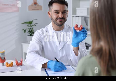 Endokrinologe zeigt Schilddrüsenmodell dem Patienten am Tisch im Krankenhaus Stockfoto